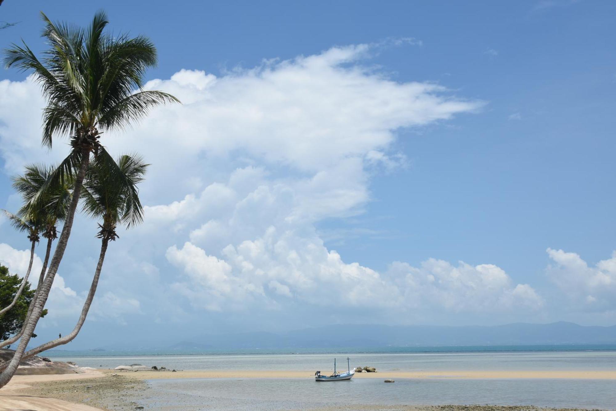 Blue Lotus Resort Baan Tai Eksteriør billede